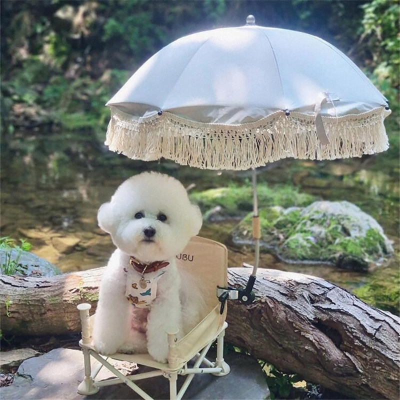 Çocuklar fotoğraf sahne Bohemi - Kids Outdoor Umbrella incelemesi ve fiyatı